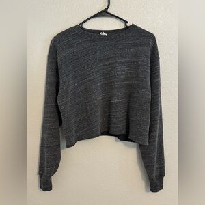 Brandy Melville John Galt Heather Gray Crop Sweatshirt